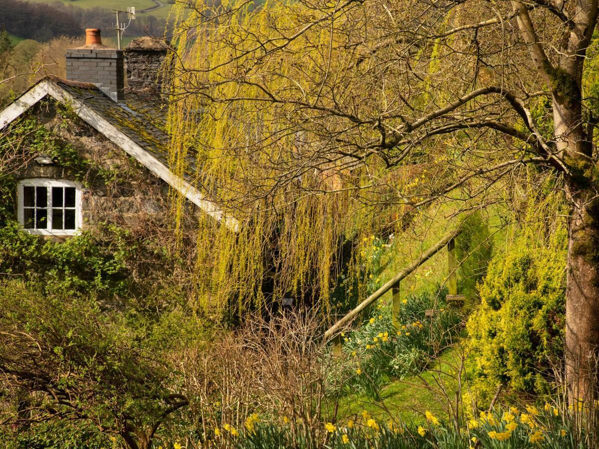 Dolgenau Cottages Trefeglwys Exterior photo